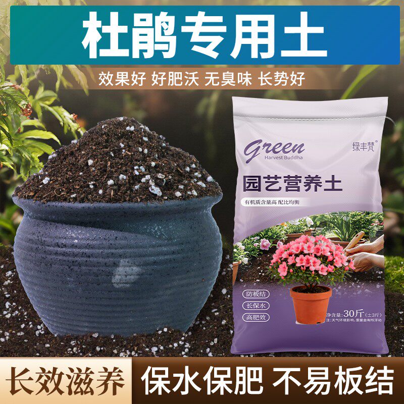 杜鹃专用腐叶土不烂根高温腐熟阳台大包无菌防徒长喜酸有机土优质