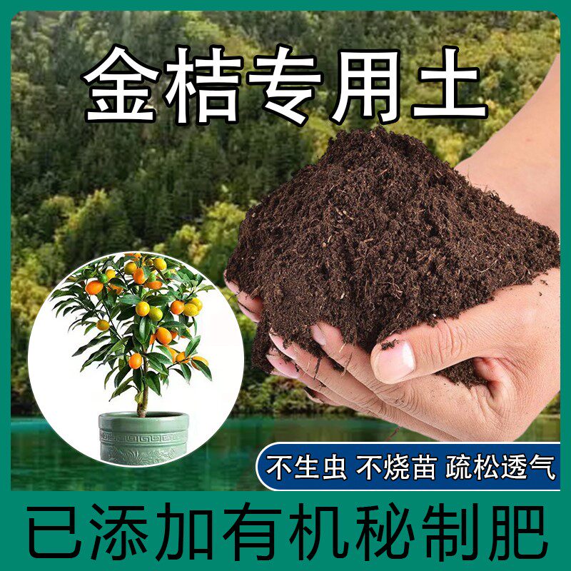 金桔专用土桔子树营养土肥料盆栽养花种花土通用种植有机土壤肥料