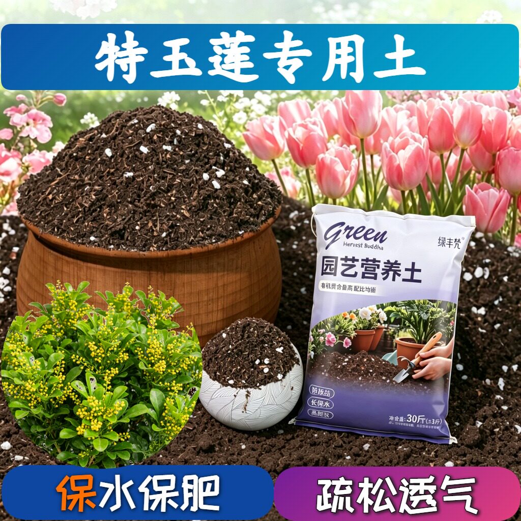 特玉莲专用进口泥炭土根壮苗好园艺大包天然壮根球根轻质土种菜土
