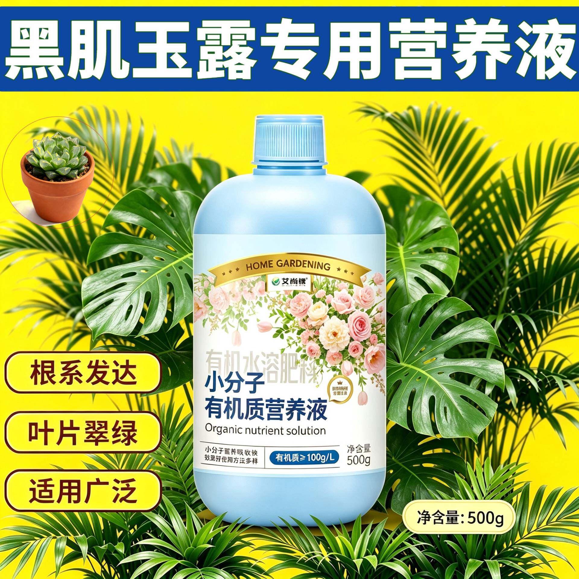 黑肌玉露专用浓缩型营养液小分子有机质壮根促长家用盆栽浓缩高效