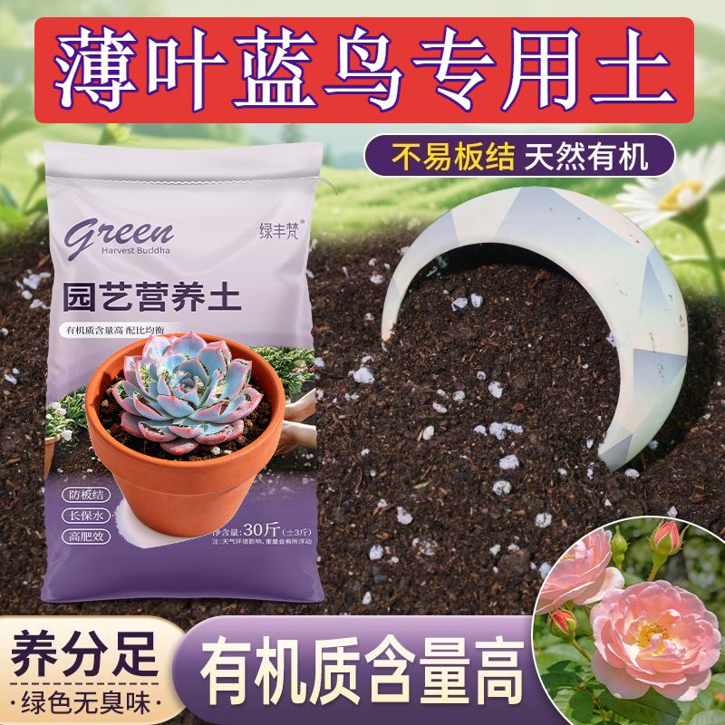 薄叶蓝鸟专用种菜土保水锁肥根壮苗好育苗加深生根粉优质绿叶喜酸