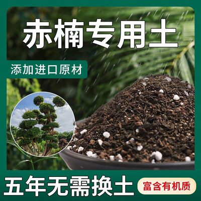 【不生虫】赤楠适用土疏松透气盆栽绿植专用土室内植物营养土