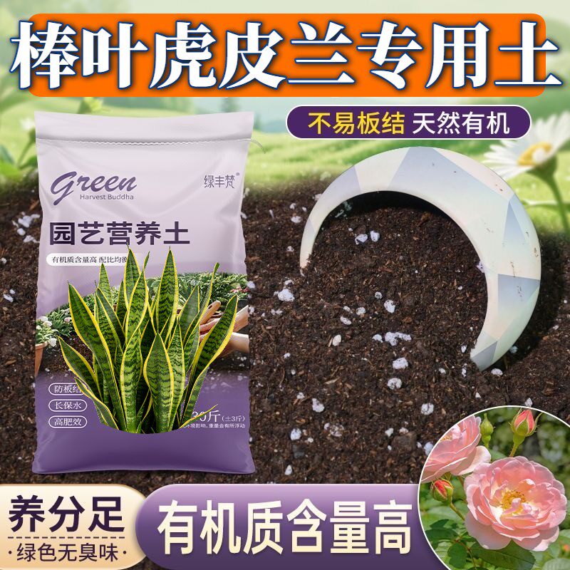 棒叶虎皮兰专用基质不烂根盆栽泥炭基质进口防黄叶多肉家庭园艺