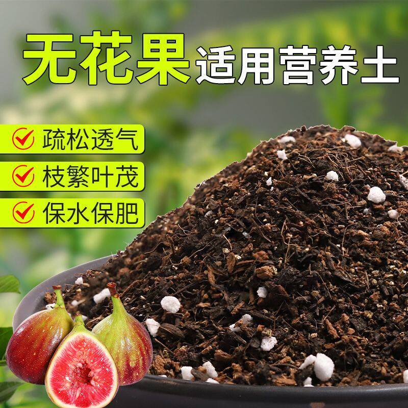【无花果专用土】疏松透气盆栽绿植专用室内植物有机营养土肥料