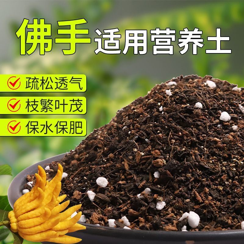 【佛手专用土】疏松透气盆栽绿植专用园艺室内植物有机营养土肥料