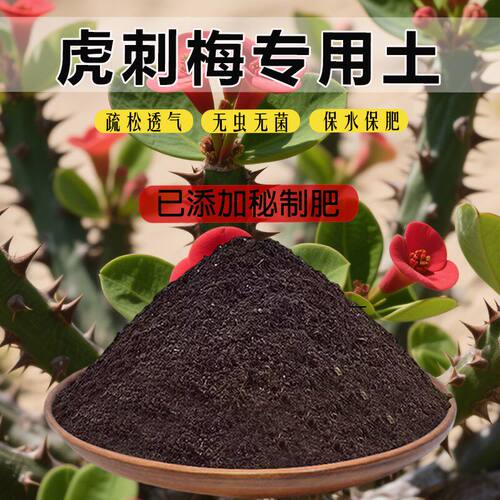 虎刺梅专用土栽培土种花土养花土盆栽土虎刺梅营养土花卉土肥料土