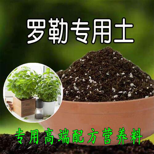 罗勒专用土营养土绿植盆栽酸性土壤绿植种植土有机肥料土腐殖土