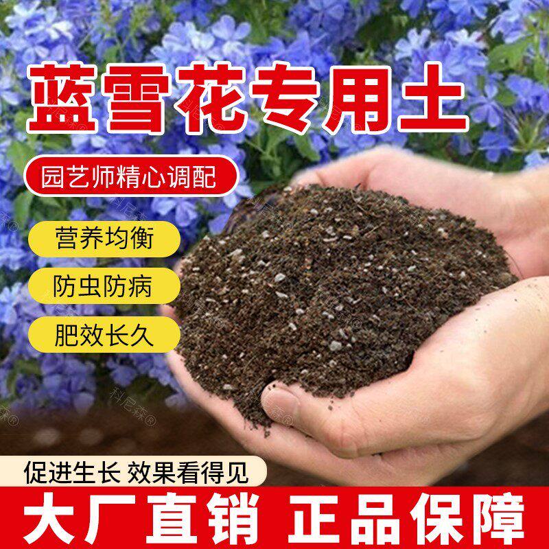 蓝雪花专用土肥料盆栽土壤天然室内蓝雪花营养土透气家庭育苗花土