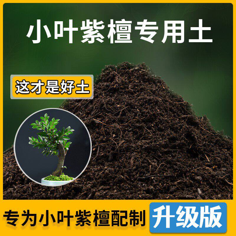 小叶紫檀专用土花草种植通用小叶紫檀营养土盆栽种花养花有机土壤