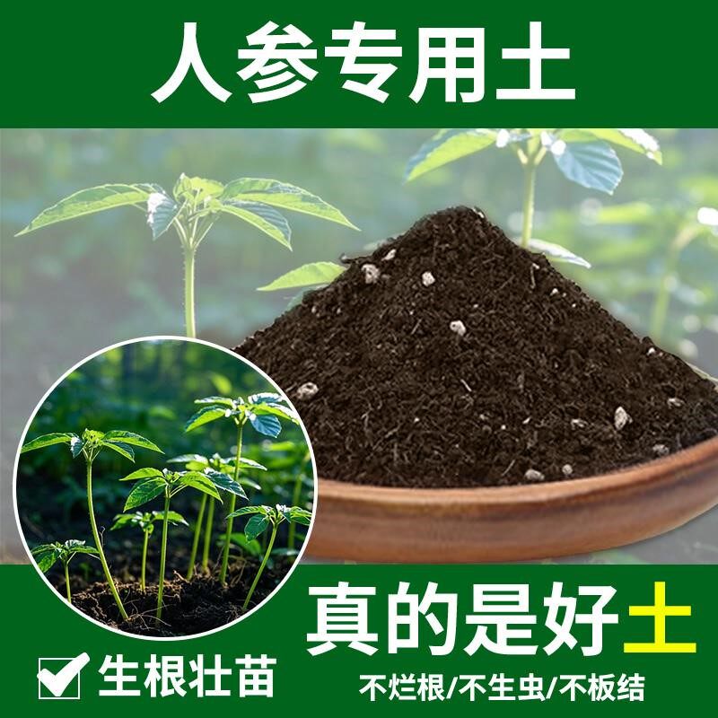 人参苗专用土人参苗专用营养土家用蔬果有机土通用型天然阳台发酵