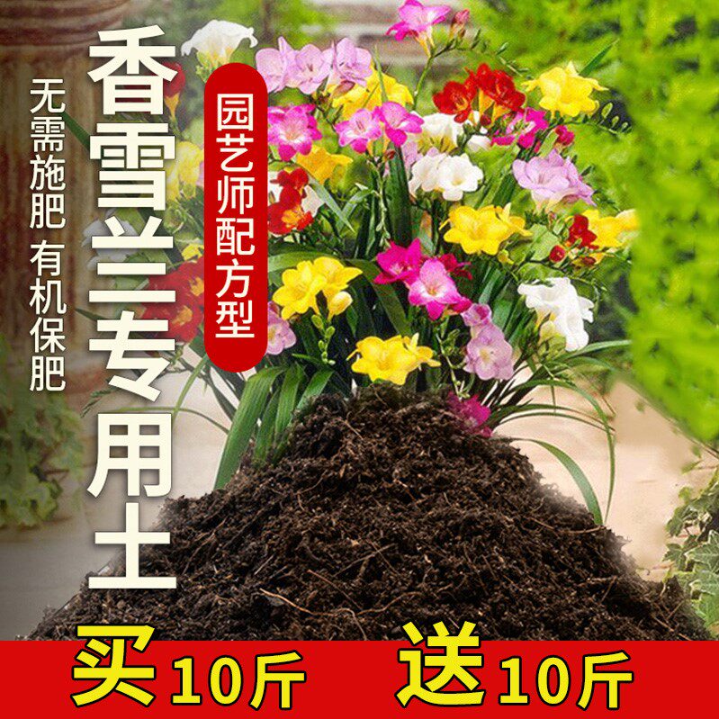 太阳花专用土盆栽土家庭阳台养花种植土太阳花营养土肥料透气泥土