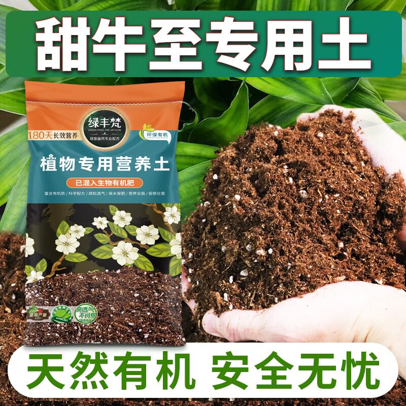 甜牛至适用营养土富含有机质育苗盆栽土杂质较少壮根实惠装木本