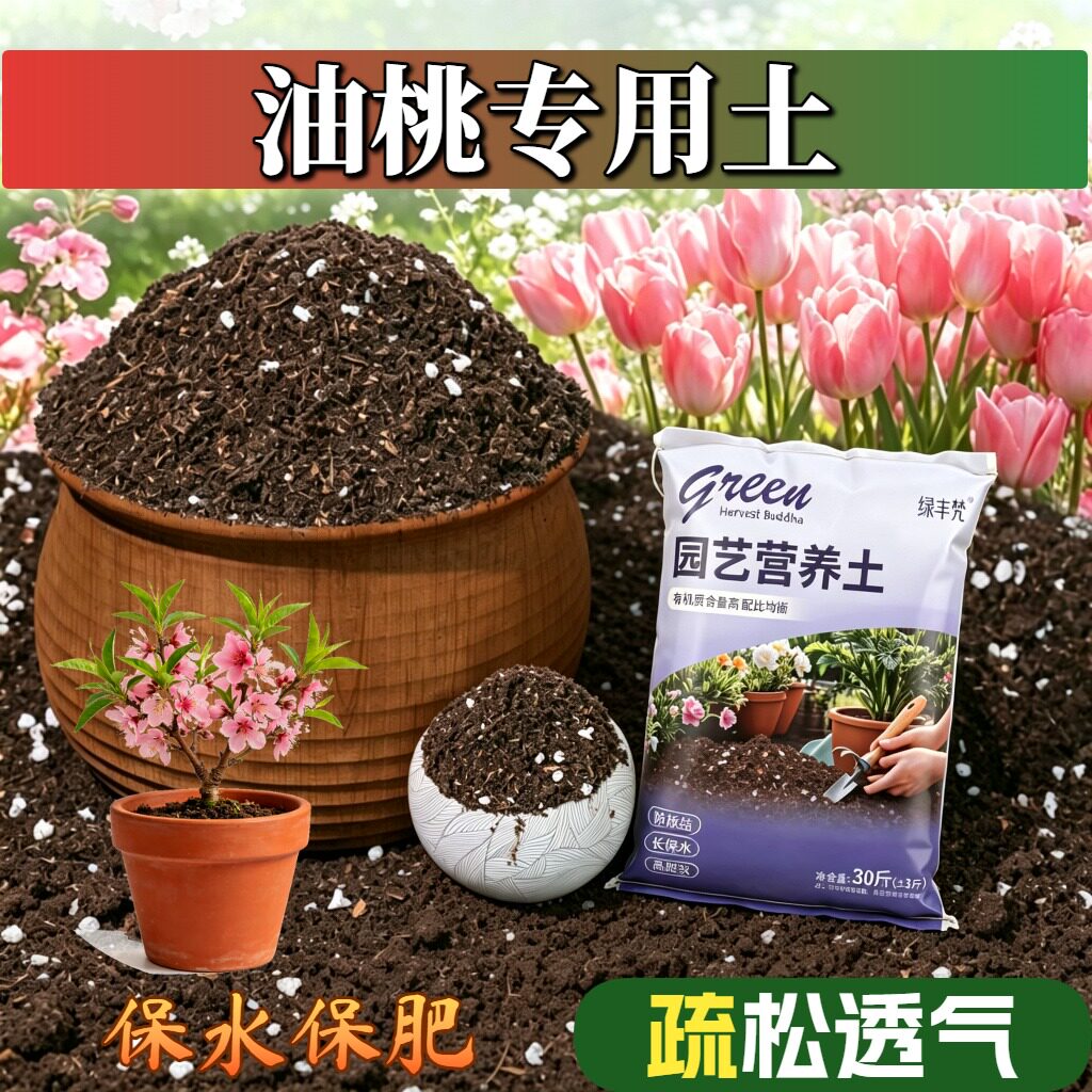 油桃适用进口泥炭土不烂根盆景大包精选壮根木本保水保肥增色无菌