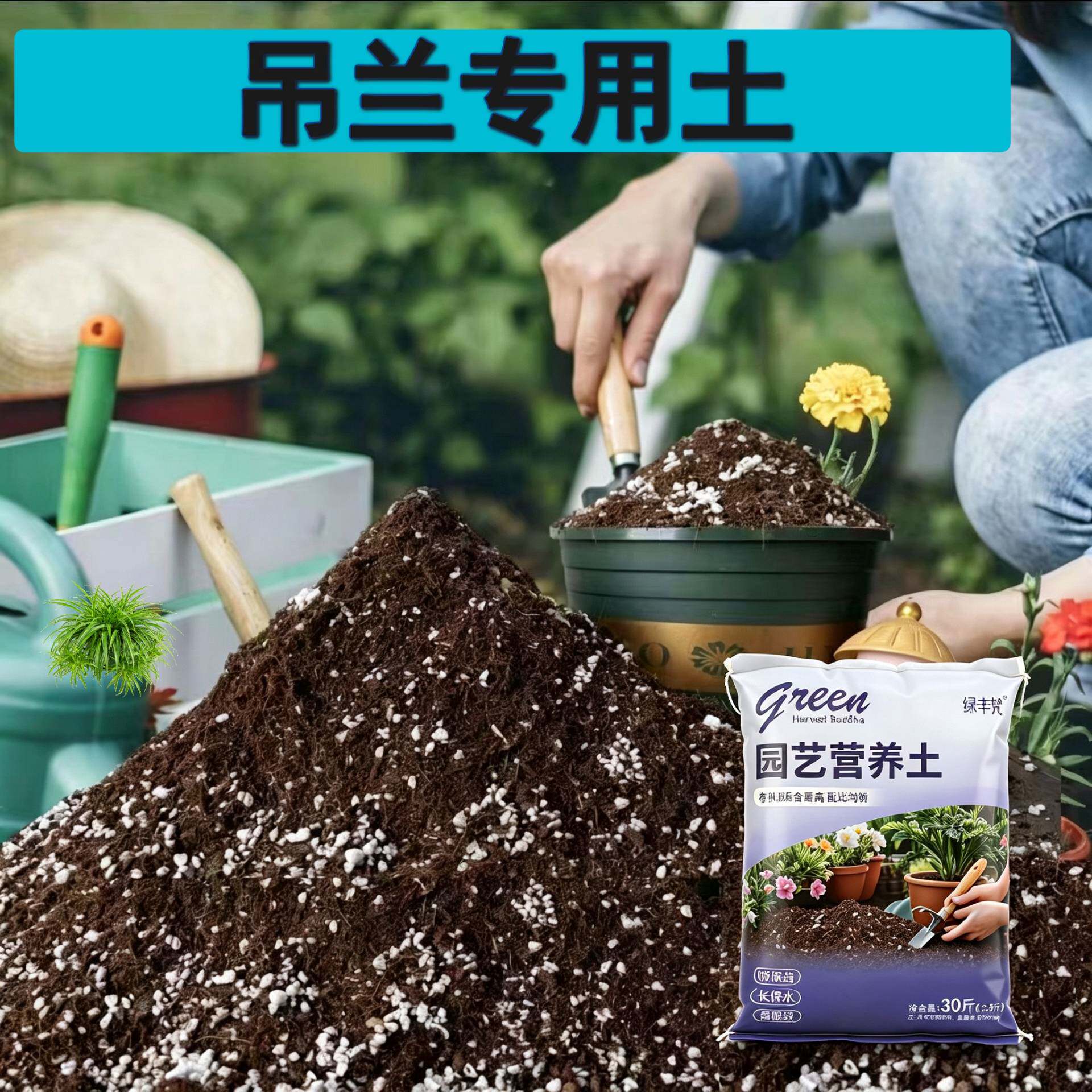 吊兰适用轻质土根壮苗好不闷根家庭园艺加牛粪天然壮根观花大包