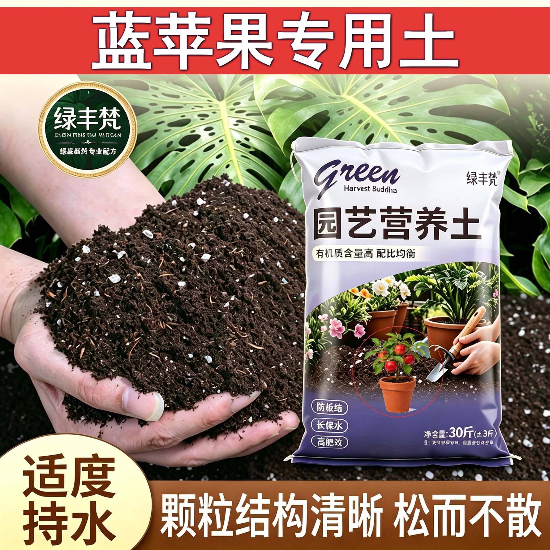蓝苹果适用基质不闷根家庭园艺加有机肥进口防黄叶木本包邮腐叶土