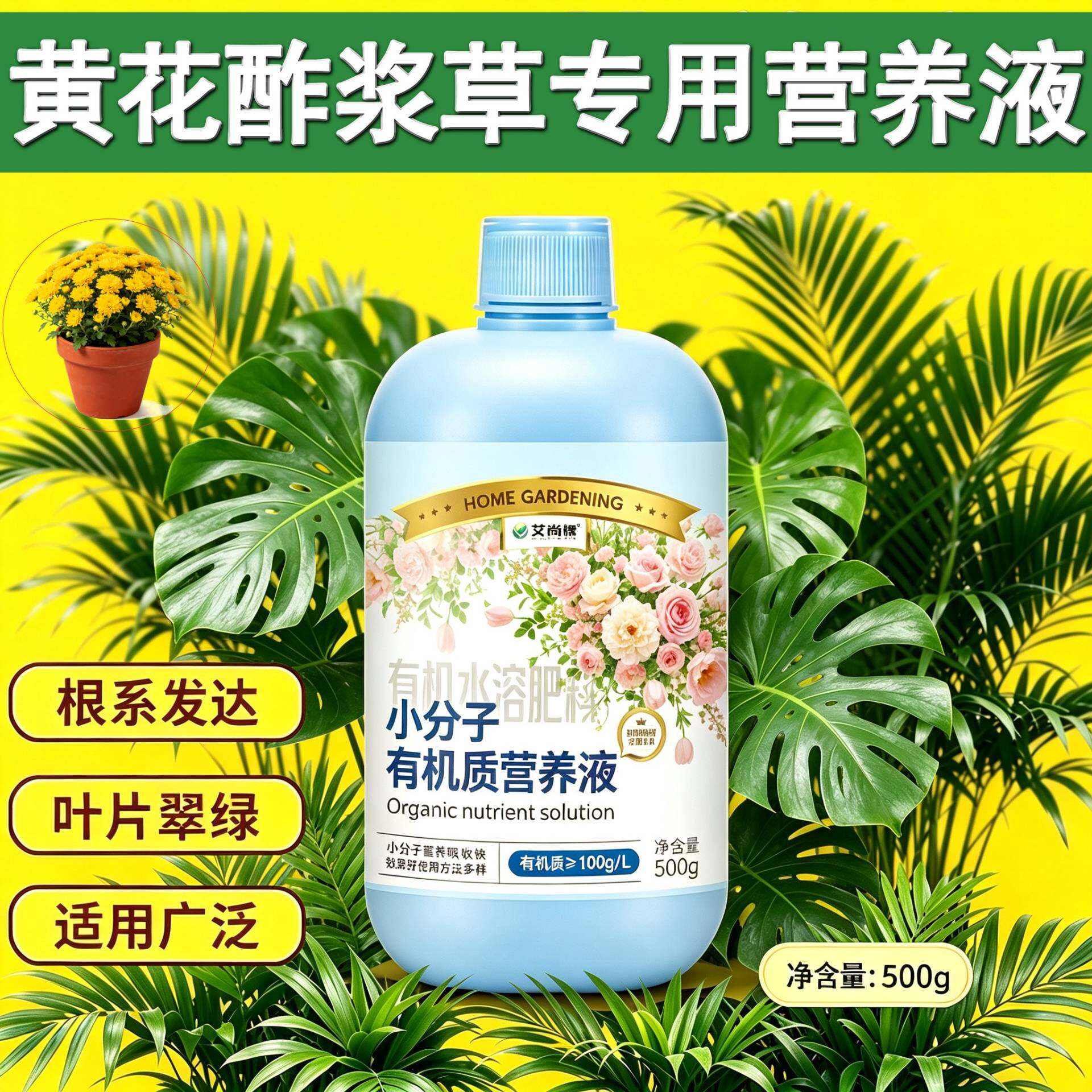 黄花酢浆草适用小分子有机质营养液浓缩高效盆栽家用叶绿花艳专用