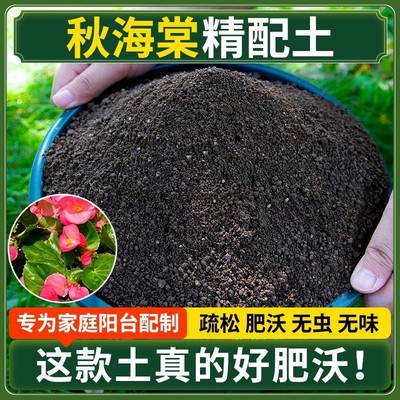秋海棠营养土种菜专用土清仓种花专用有机肥料土多肉扦插育苗土壤