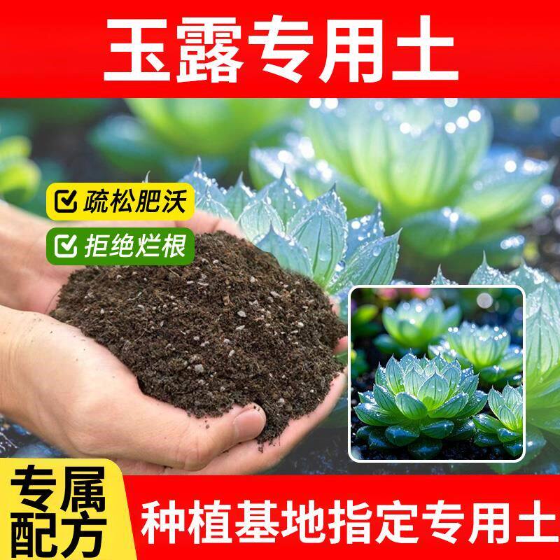 玉露专用土盆栽土壤园艺有机肥通用型发酵盆栽专用土花土多肉土