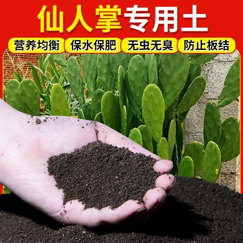 仙人掌专用土营养土仙人球种植土盆栽土室内花卉养花土客厅种花土