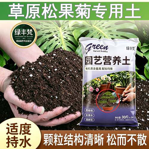 草原松果菊适用进口泥炭土高温灭菌不烂根加有机肥进口促生长喜酸