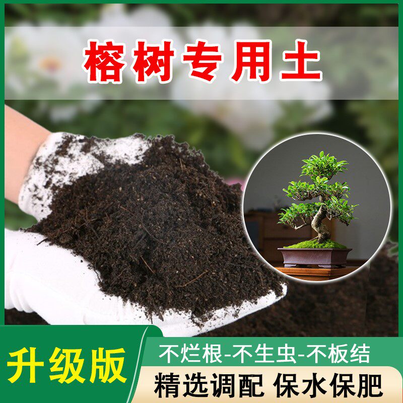 榕树专用土家庭盆景营养土榕树土花土疏松透气肥料土壤盆栽种植土