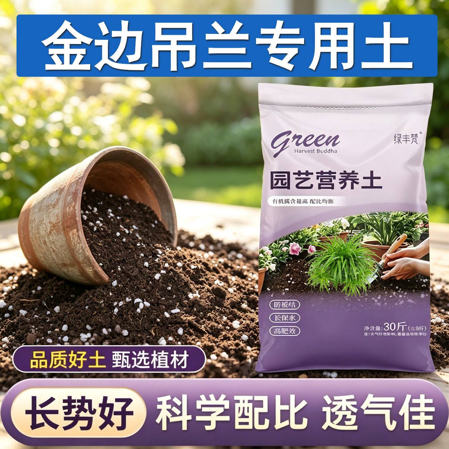金边吊兰专用盆景土疏松透气加珍珠岩加深生根粉天然壮根多肉