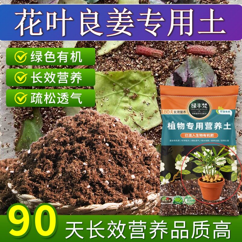 花叶良姜专用花土天然原料营养土有机质丰富防徒长开袋即用多肉