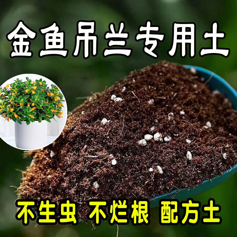 金鱼吊兰专用营养土 金鱼吊兰专用土 盆栽通用型种花养花种植土