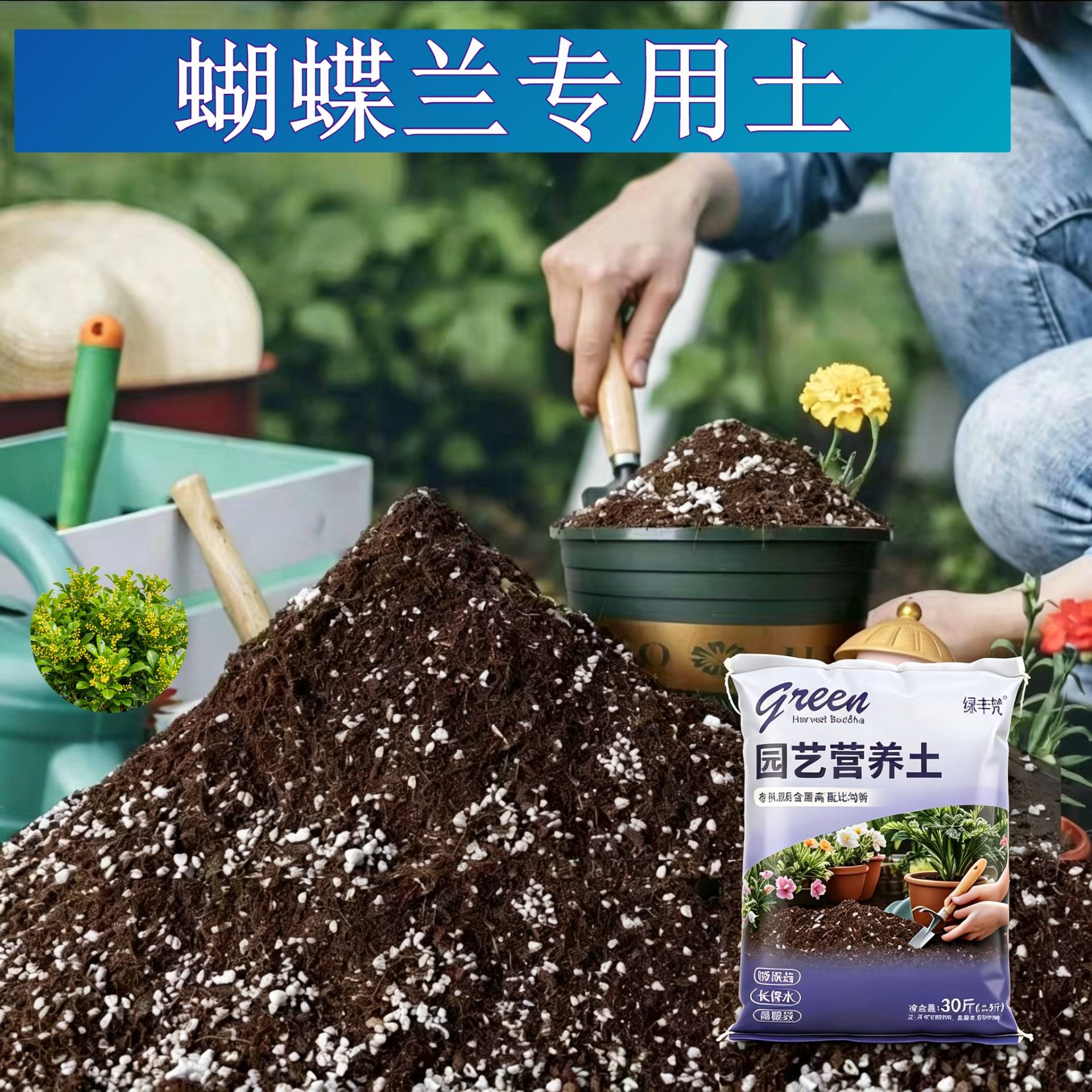 蝴蝶兰适用泥炭土不板结疏松透气室内包邮优质促生长观叶精选无菌