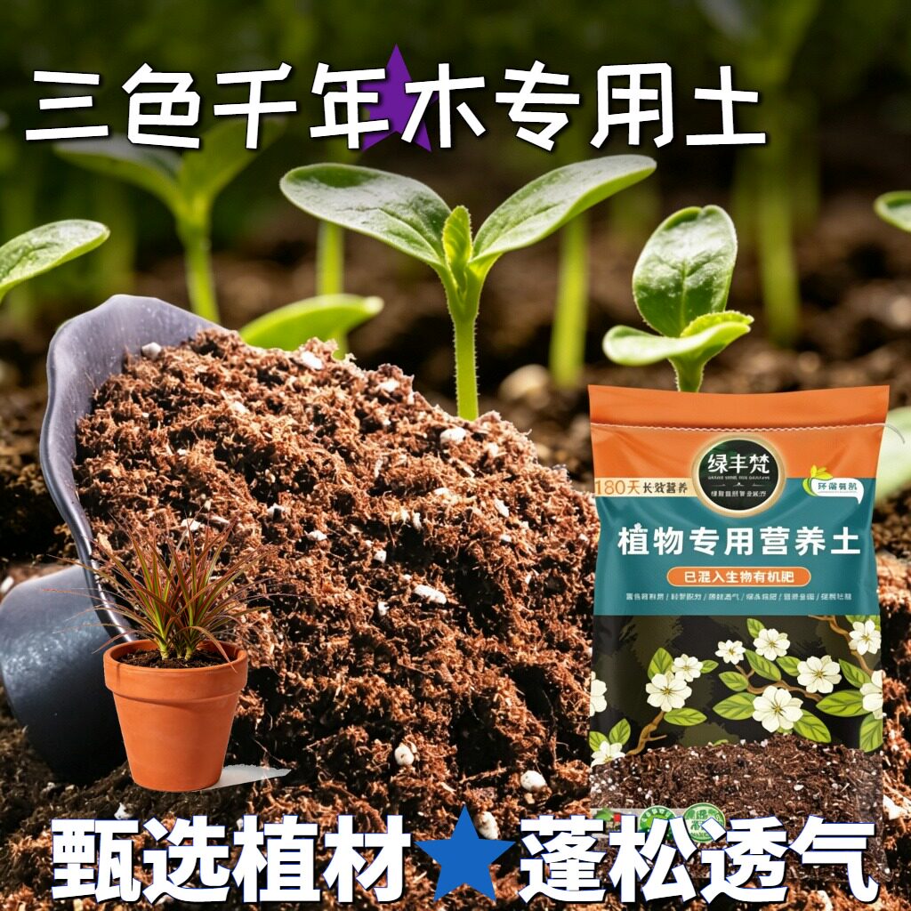 三色千年木适用轻质基质土天然原料种植土有机辅助发根家用装观叶