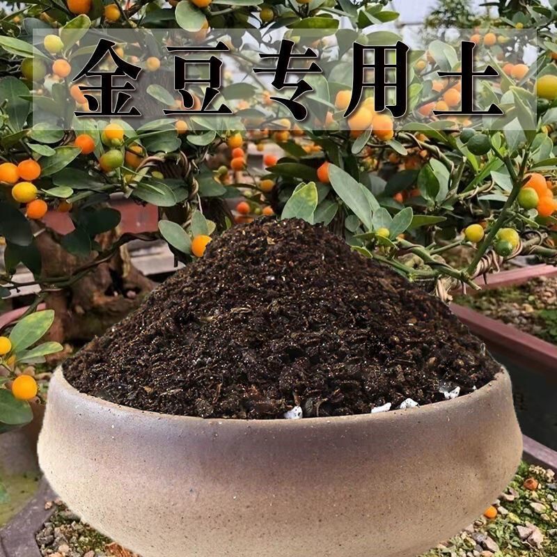 金豆专用土金豆土盆景盆栽有机土肥料种花泥土营养土种植土壤养花