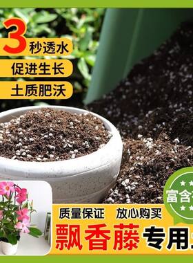 【飘香藤专用土】家用盆栽土加生根粉绿植专用有机植物营养肥料土