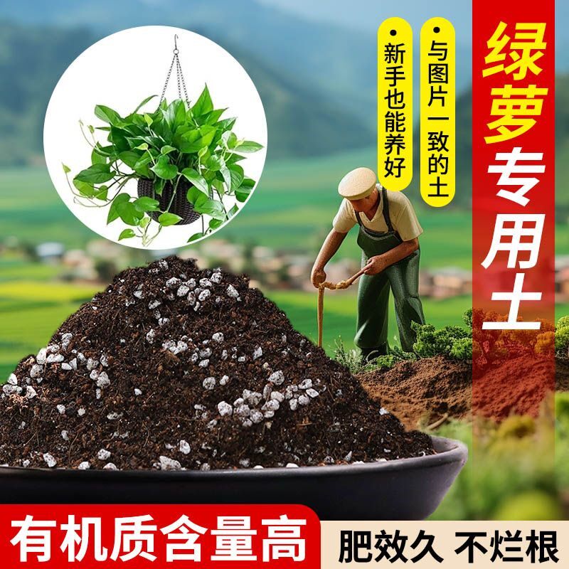 绿萝营养土专用疏松透气含泥炭肥料通用有机种植土适用土轻质土壤