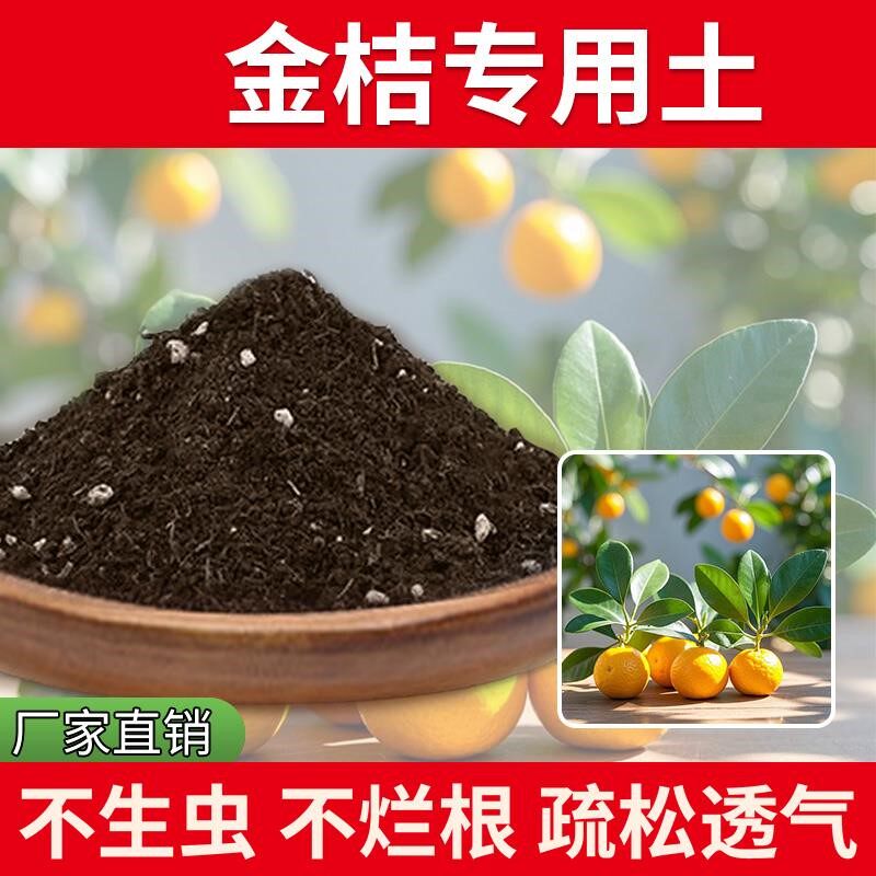 金桔专用土室内养花专用土栽培土绿植椰砖盆栽土壤种植多肉土疏松