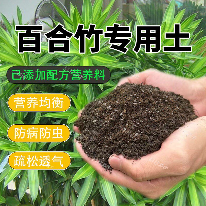 百合竹专用土家庭盆栽土百合竹营养土养花种花土通用种植肥料土壤图片