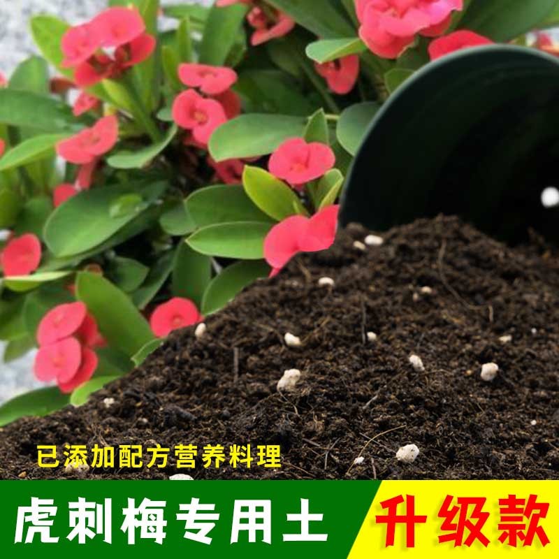 虎刺梅专用土有机土肥料家用种植土虎刺梅营养土盆栽养花通用包邮