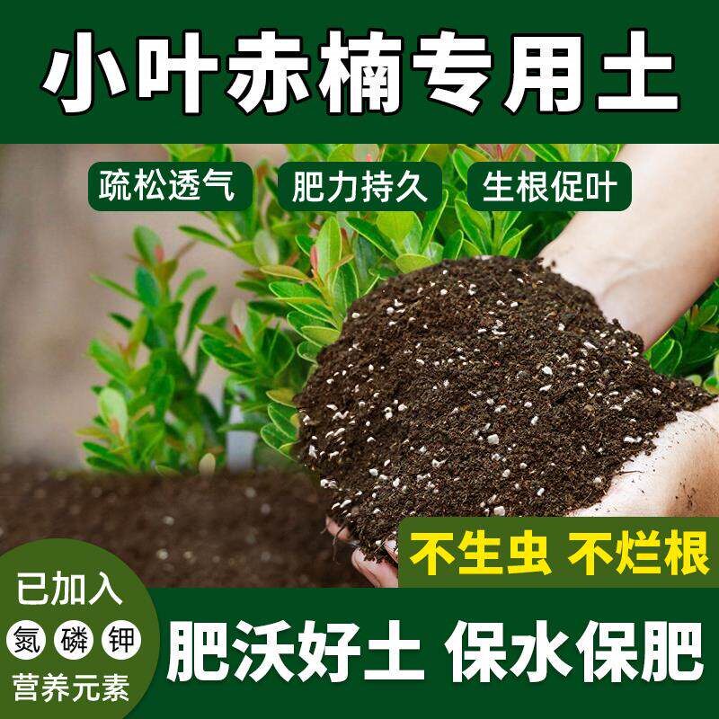 小叶赤楠专用土花土壮根阳台养花促生长配方土小叶赤楠营养土花泥
