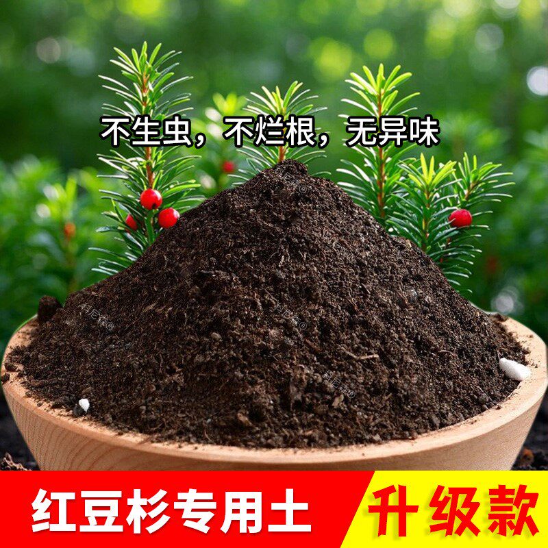 红豆杉专用土肥料土通用土红豆杉营养土花卉土有机土家用透气泥土