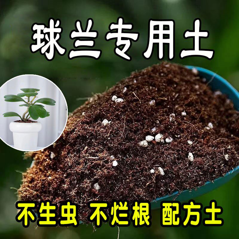 球兰专用营养土 球兰专用土 盆栽有机土花土种花养花种植土壤花卉图片
