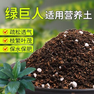 【绿巨人专用土】疏松透气盆栽绿植专用室内植物有机营养土肥料