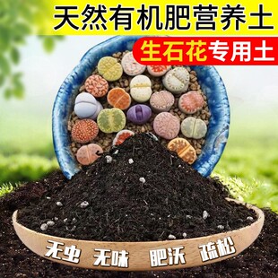 生石花专用土家用腐殖花土椰砖种植土椰糠多肉土泥炭颗粒营养土