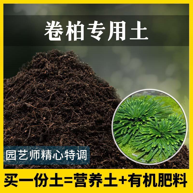 卷柏专用土家用养花肥料有机土壤种植土卷柏营养土植物种花盆栽土
