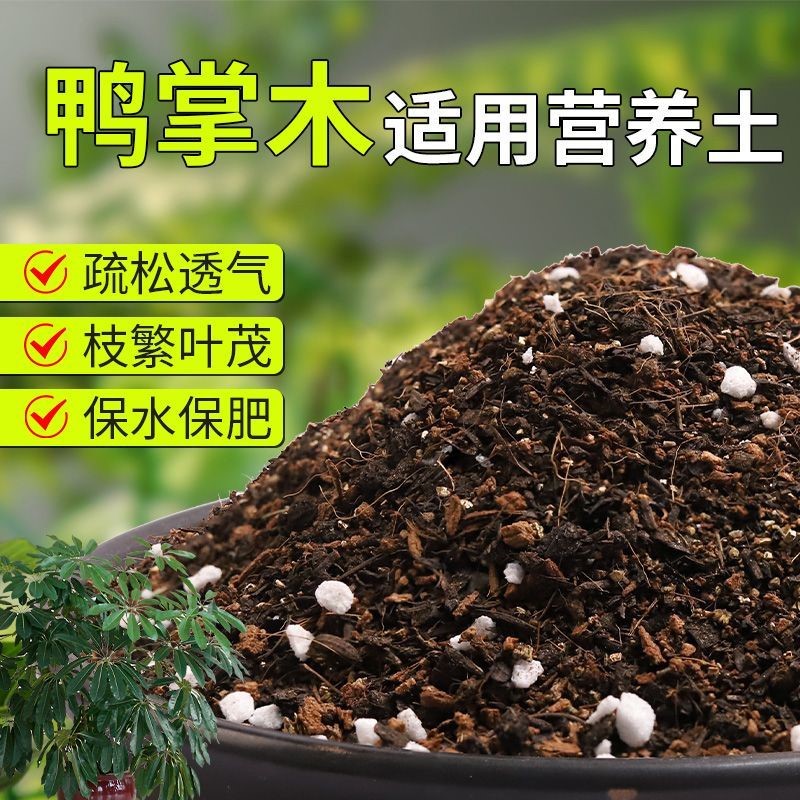 【鸭掌木专用土】疏松透气盆栽绿植专用室内植物有机营养土肥料