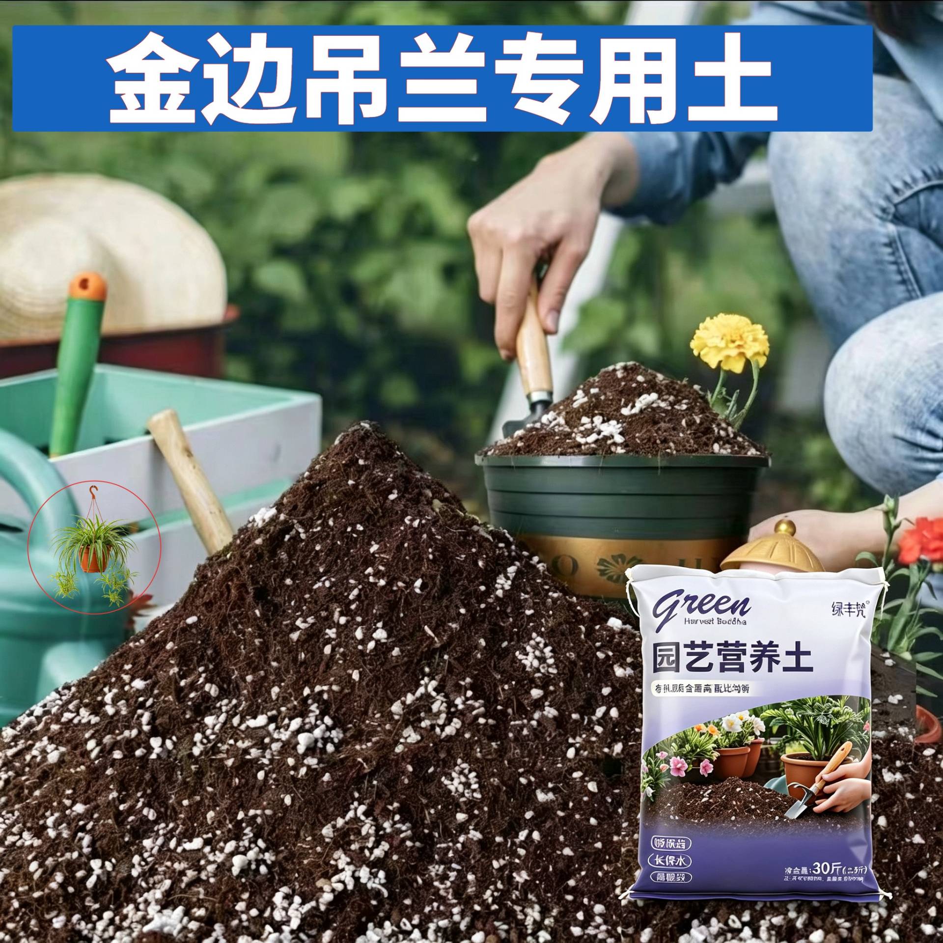 金边吊兰专用泥炭土不闷根室内加牛粪进口增色多肉绿叶菜园腐叶土