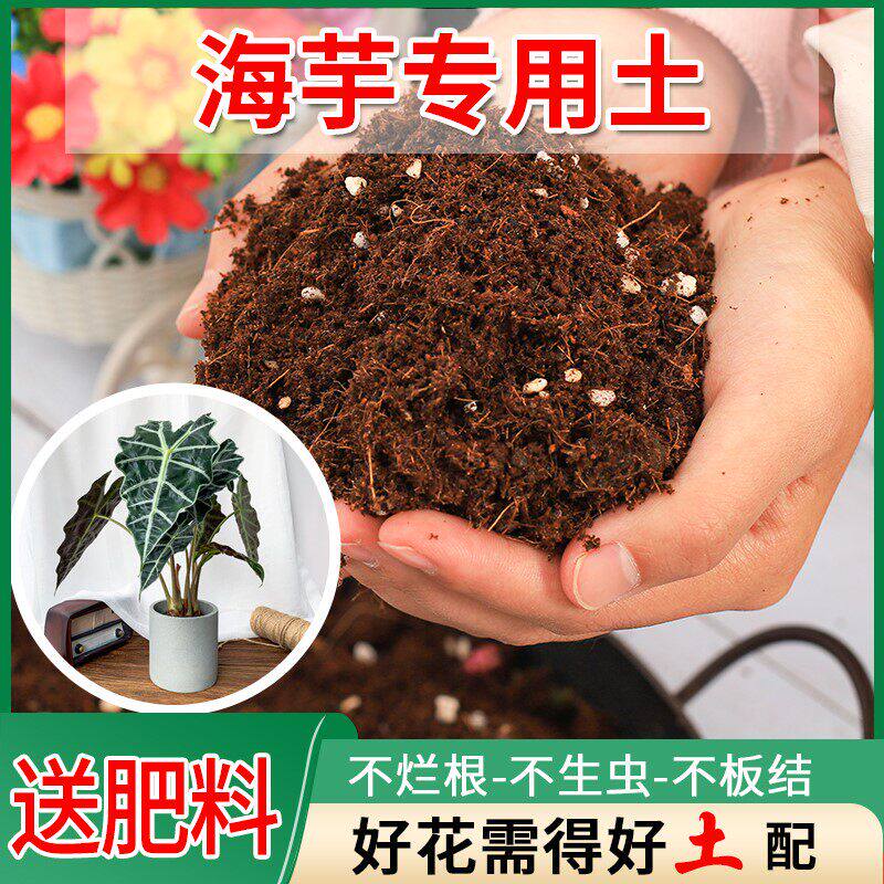 海芋种花专用土养花通用型土壤家用种植土椰砖种花有机盆栽培养土