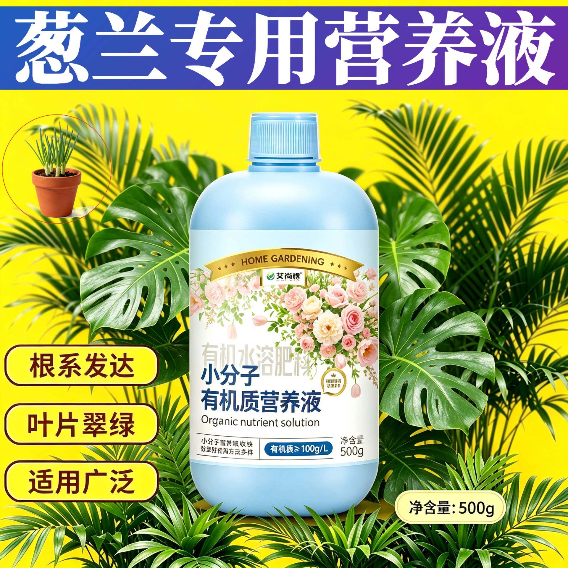 葱兰专用营养液根叶双补兑水即用家用园艺快速吸收叶绿花艳盆栽