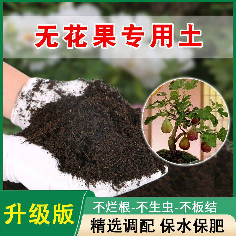 无花果专用土盆栽无花果营养土通用肥料土壤养花果树土绿植种植土