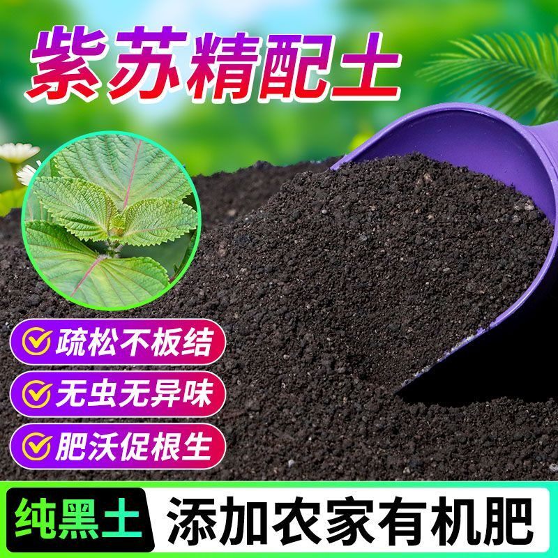 紫苏盆栽种菜土营养土腐殖泥炭土根壮苗好扦插泥炭基质大包盆景