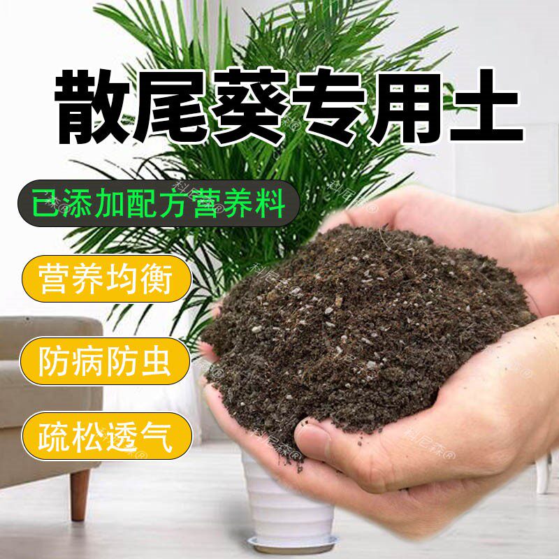 散尾葵专用土养花专用通用土壤专用肥料凤尾葵营养土培养土种植土