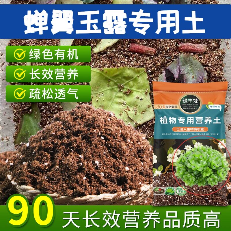 蝉翼玉露适用花泥蓬松多孔种植土有机质丰富缓释营养开袋即用多肉